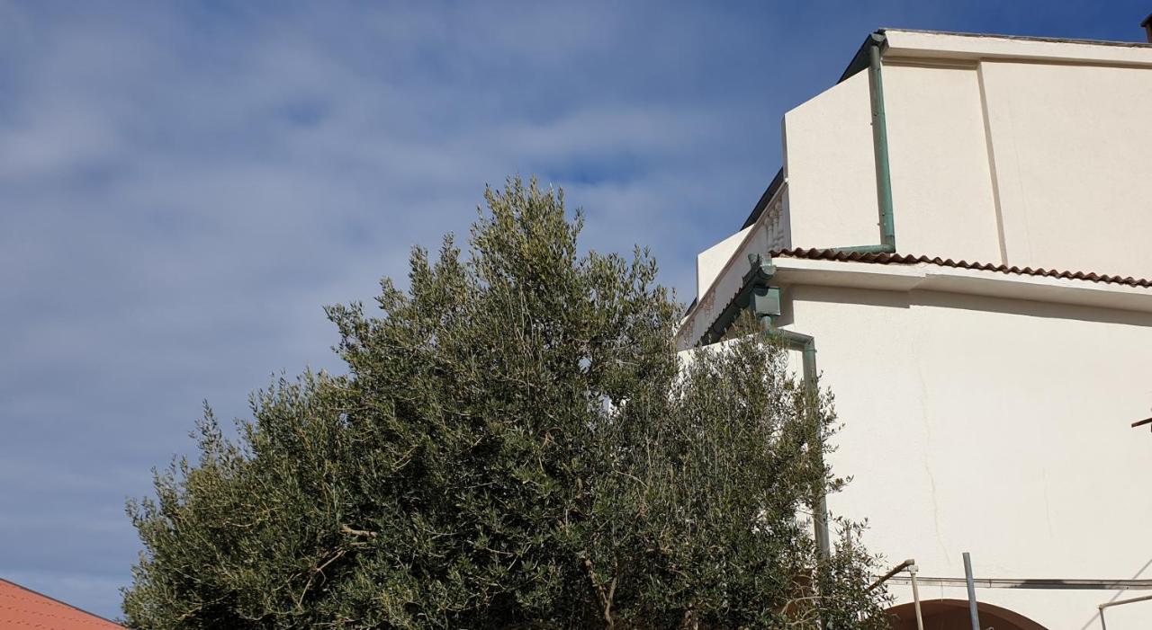 Bed & Breakfast Bellavista 3*